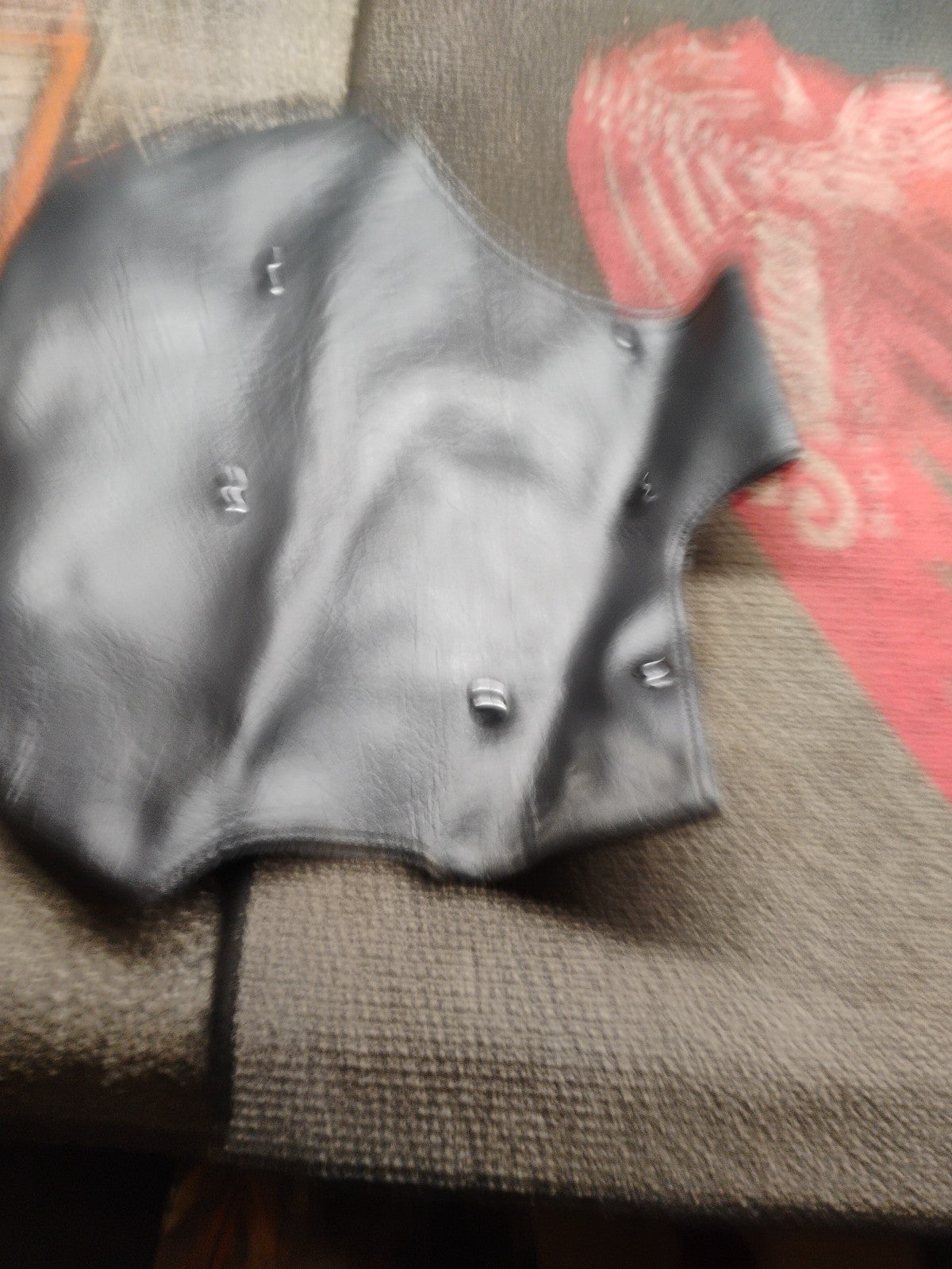 Unbranded Engine Guard Chaps