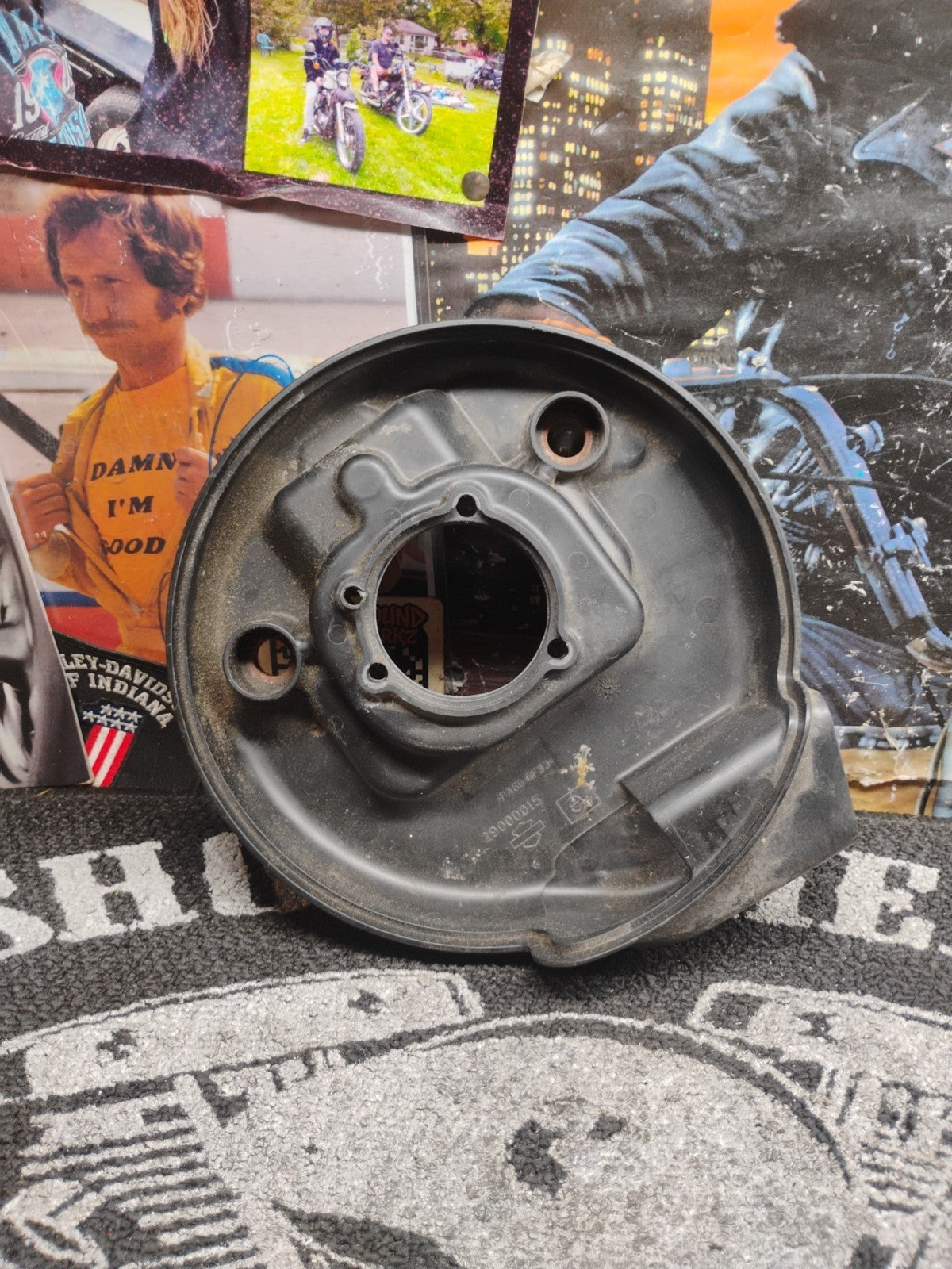 Harley Davidson XL1200 Sportster OEM Air Cleaner Backing Plate EFI