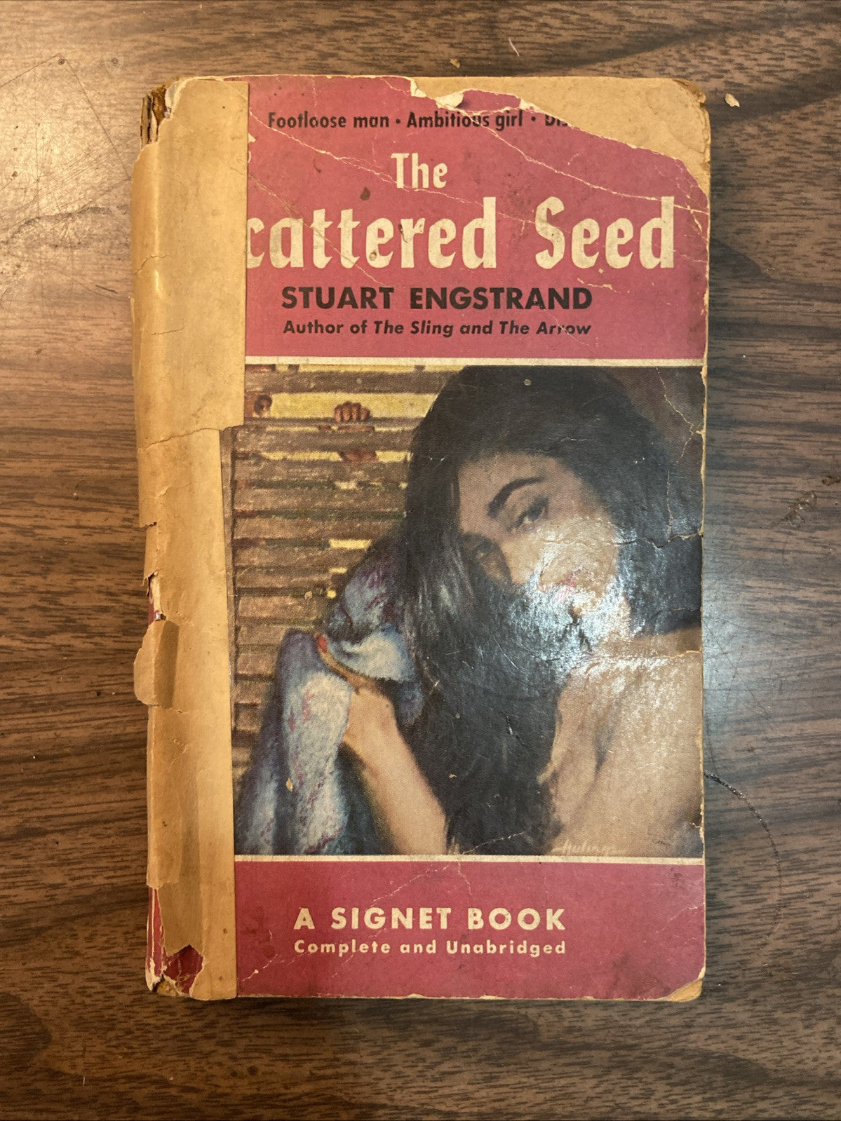 The Scattered Seed - Stuart Endstrand