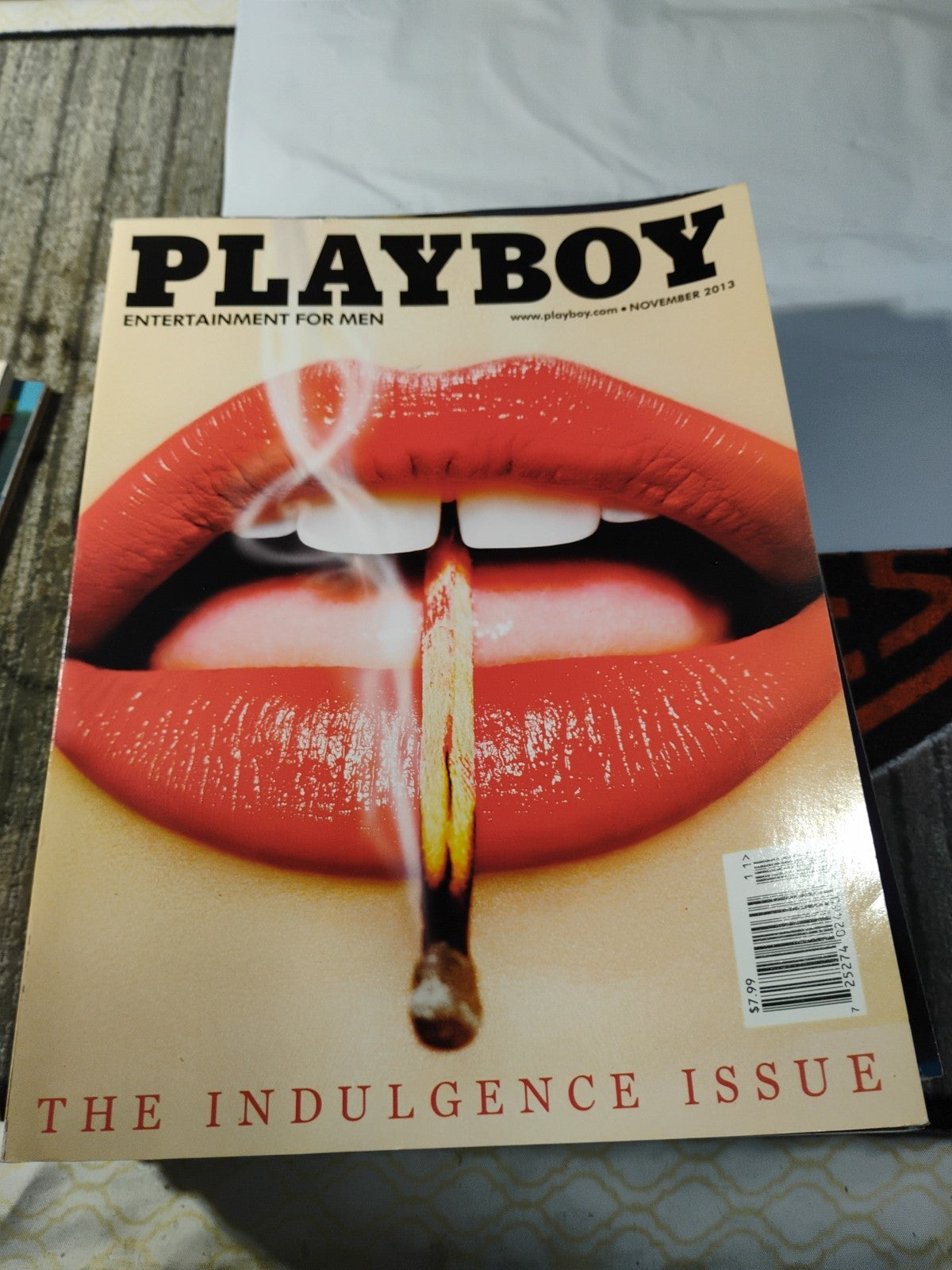 November 2013 Playboy Magazine - Sarah Domke, Gemma Lee Farrell, Bernie Sanders