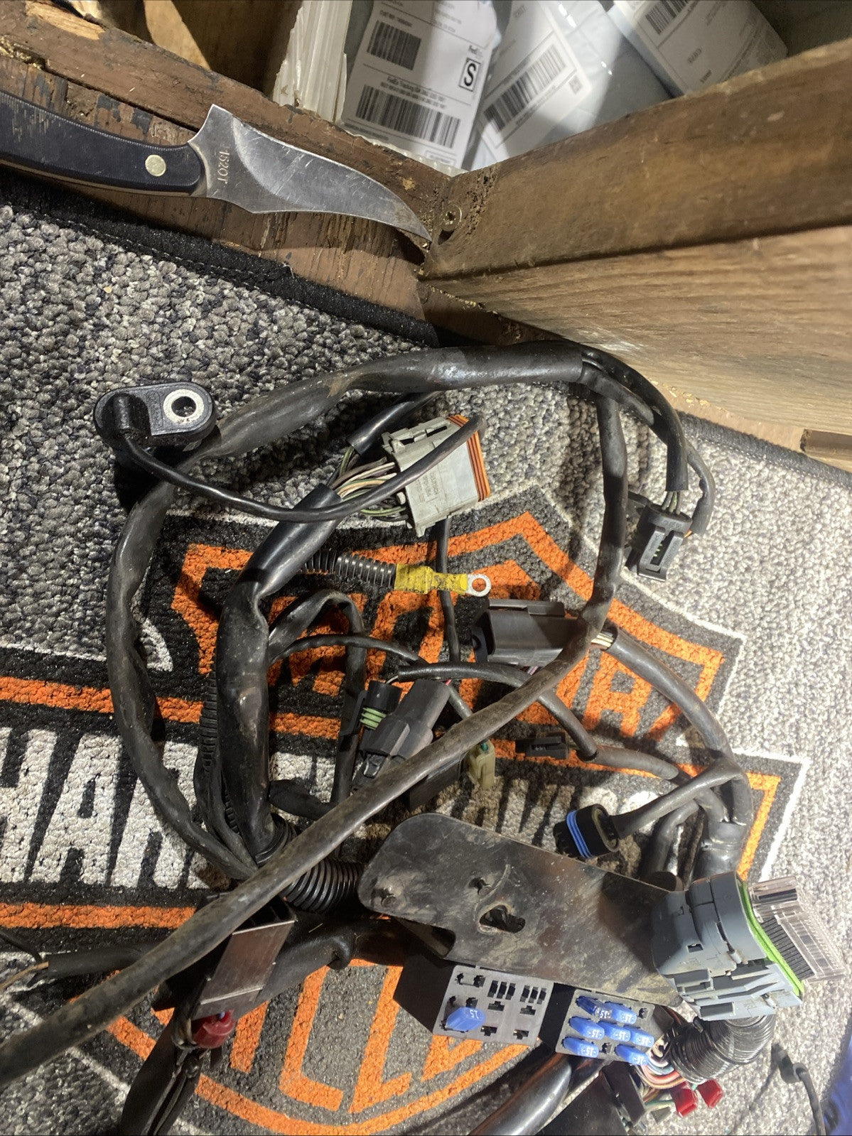 Buel Blast Wiring Harness