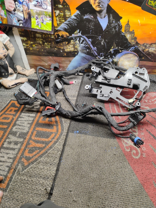 2019 HARLEY DAVIDSON FLHCS 114, MAIN WIRING HARNESS 69201492 (OPS7081)