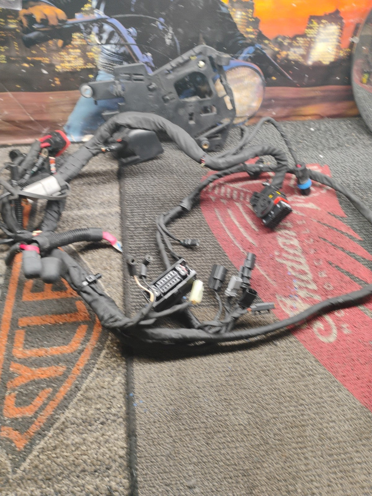 2019 HARLEY DAVIDSON FLHCS 114, MAIN WIRING HARNESS 69201492 (OPS7081)