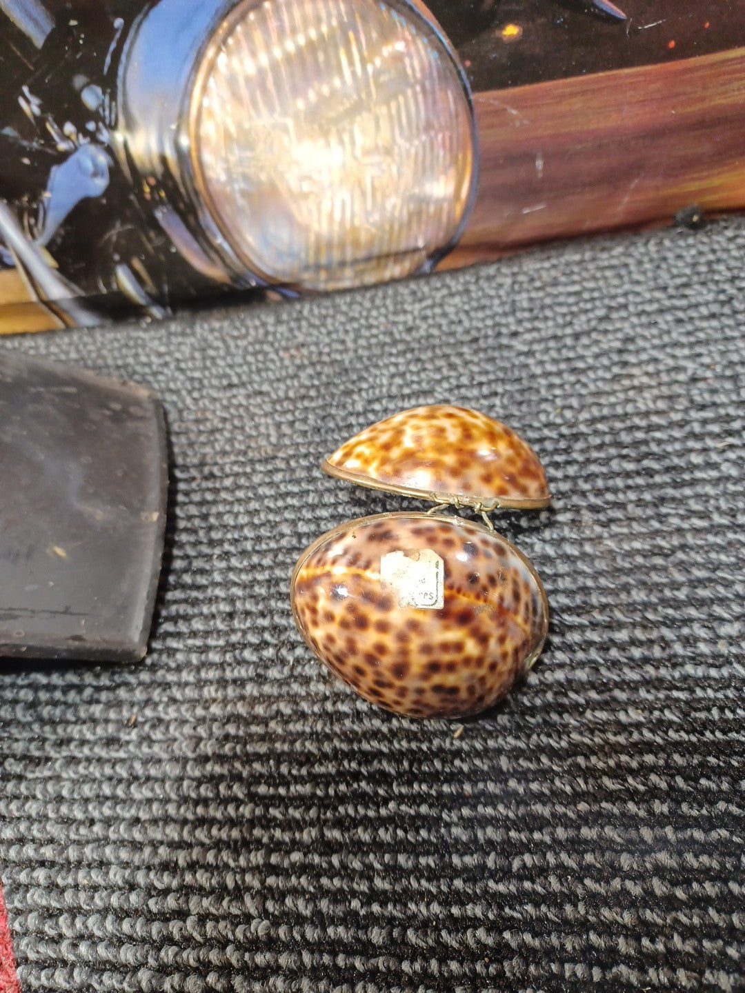 Cowrie Shell Trinket Box Brass Hinged Seashell Jewelry Egg 2.5"