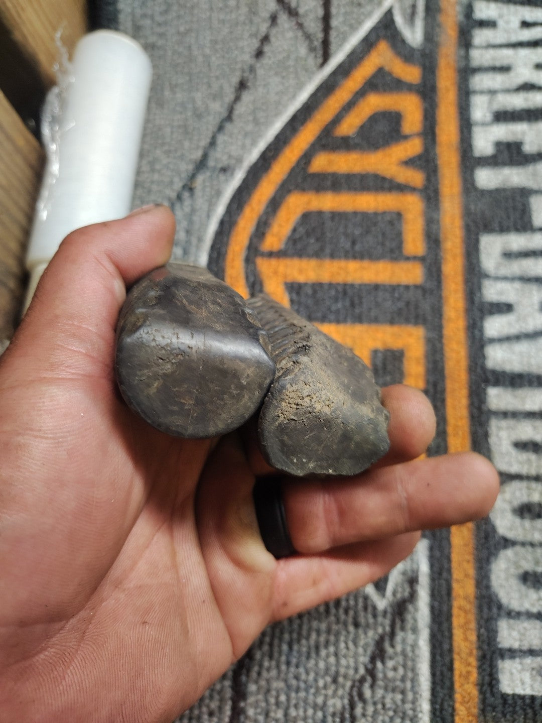 1979-1981 Suzuki GS850 Foot Pegs