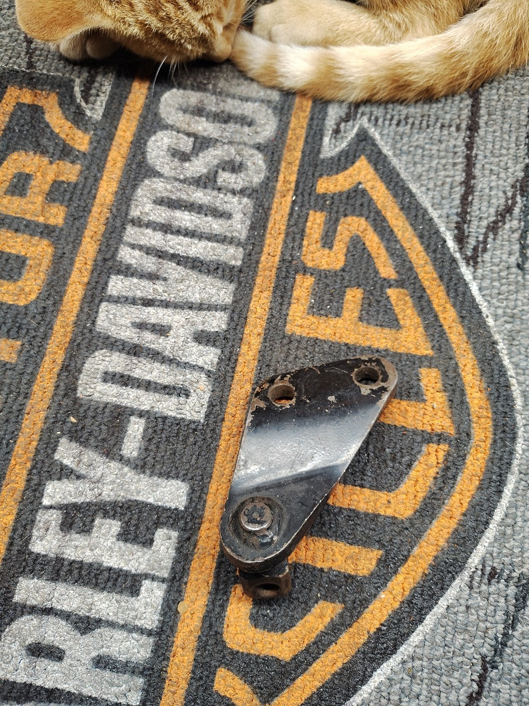 Harley OEM  1977-1984 FX SHOVELHEAD REAR PEG MOUNT   311D