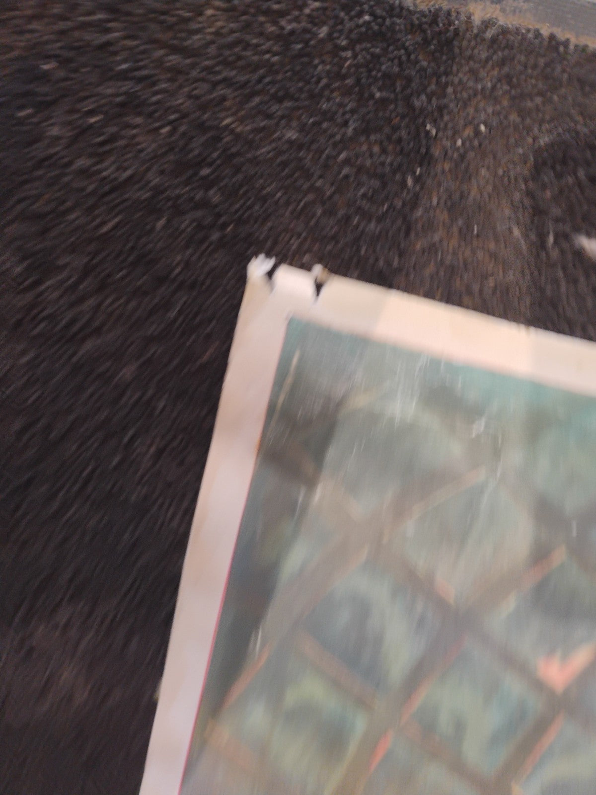 Vintage 2004 Camille Bouchet Cognac Jacquet 1920s  Art Poster 24x36