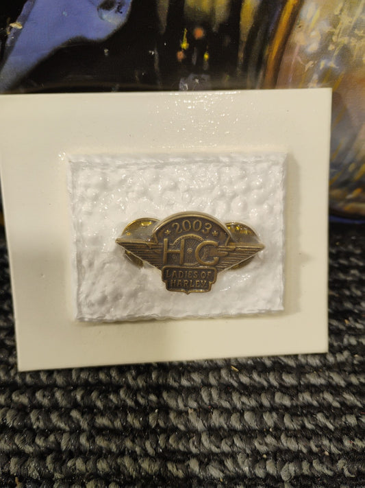 Harley Davidson Motorcycles HOG Pin Ladies Owners Group Biker Badge 2002 Sealed