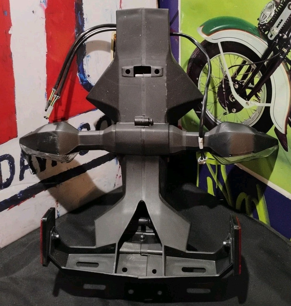 2020 Zx6r Tail Assembly