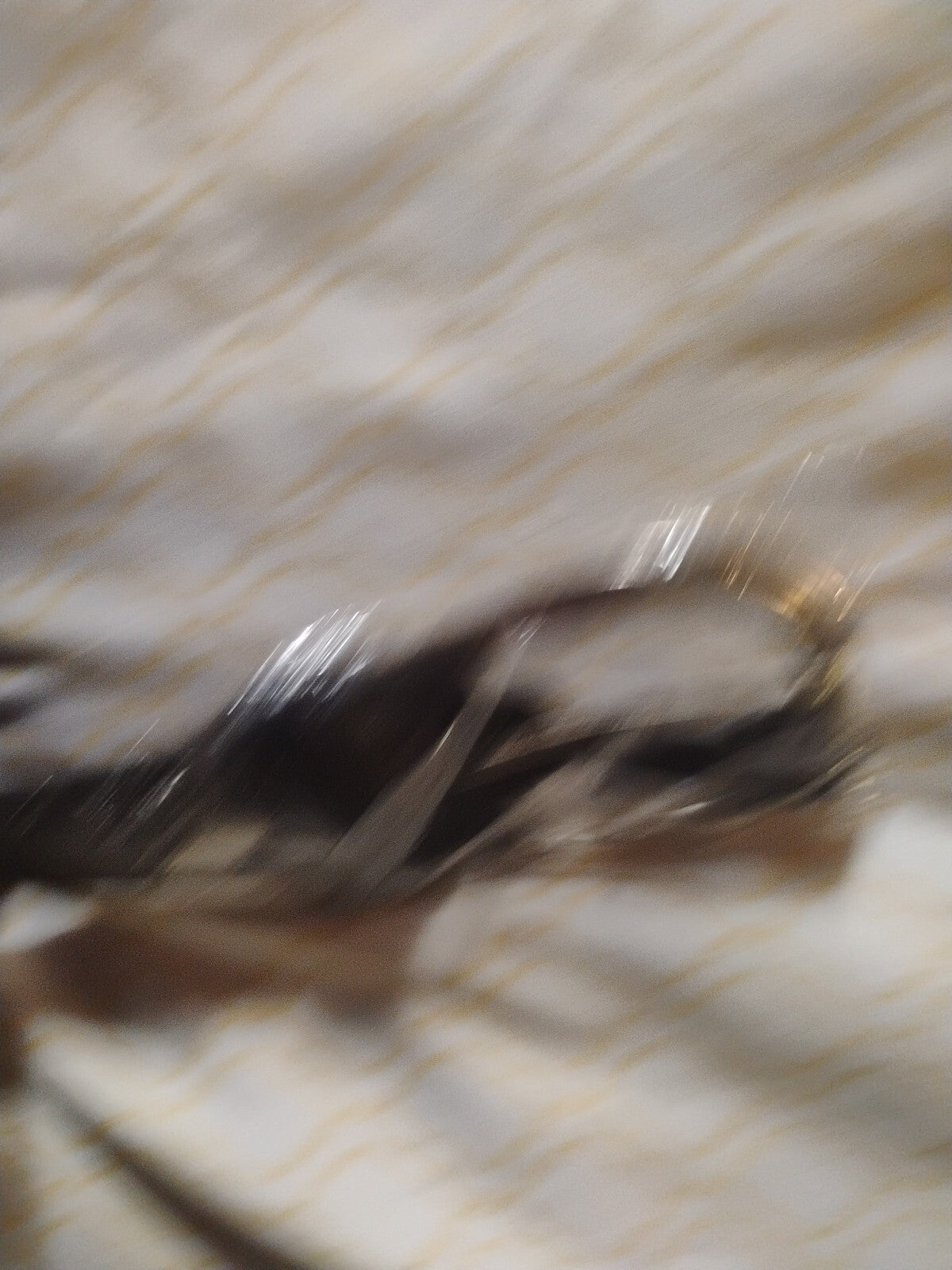 USA Eagle Genuine Leather Belt Size 34-36 Black Vintage USA American Bald Eagle