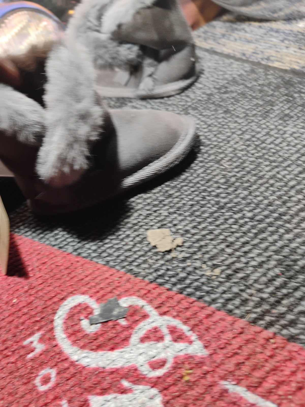 Bearpaw Babies Infants Boots Size Age 6-12 Mounts Brand New