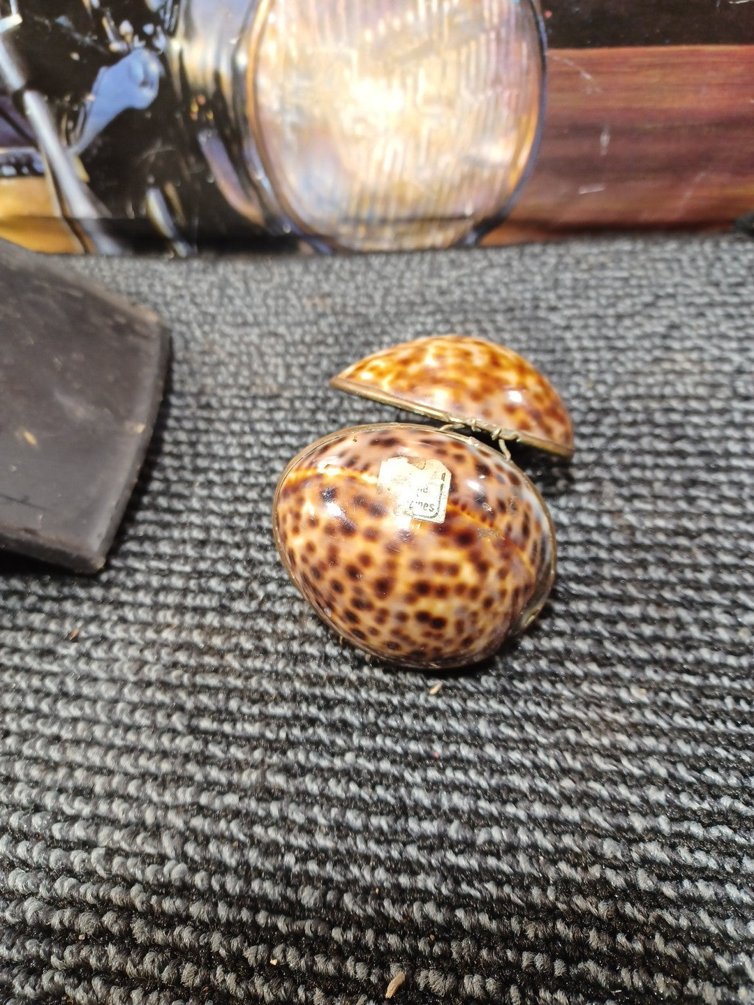 Cowrie Shell Trinket Box Brass Hinged Seashell Jewelry Egg 2.5"