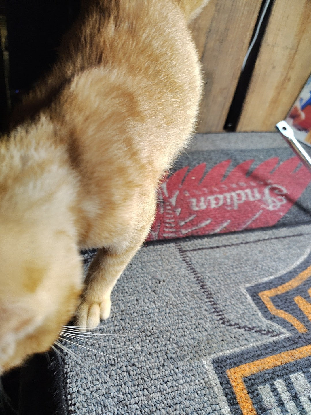 HARLEY DAVIDSON FL FLH CHROME EXHAUST BRACKET MOUNT DYNO POWER DRAG PIPES