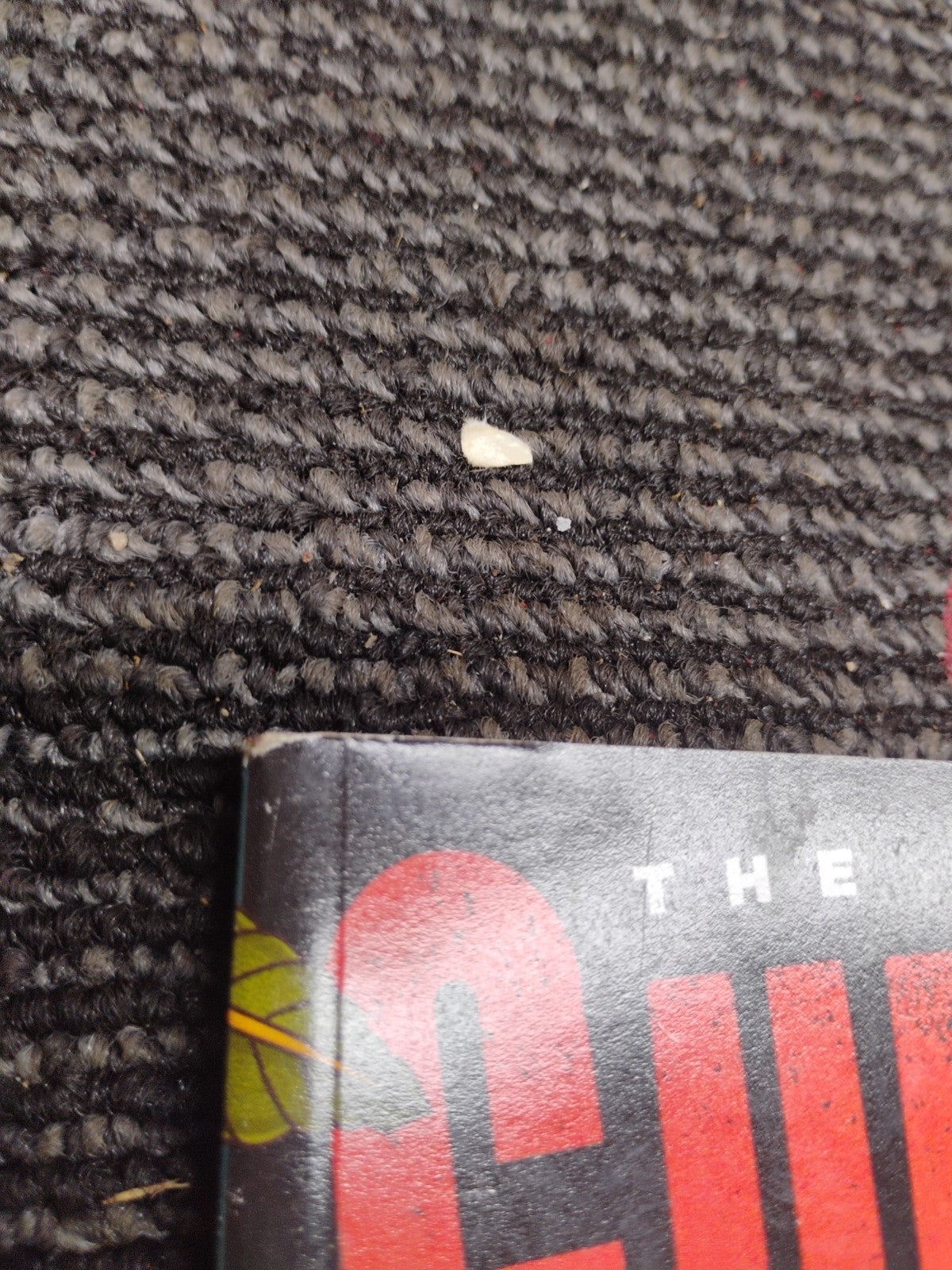 Guns N' Roses Magazine 2024 • The Unofficial Fan Guide