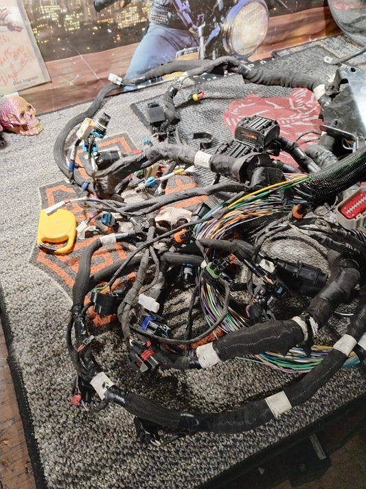 17 Indian Chief Chieftain Roadmaster & Springfield Main Wire Wiring Harness Loom