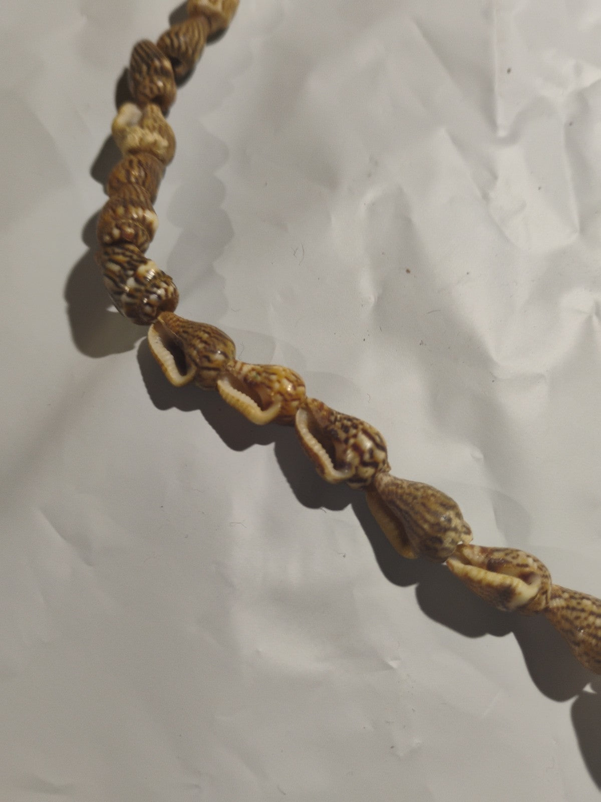 Vintage Sea Shell Single Strand Necklace Umbonium Button Top Beach Boho 28in