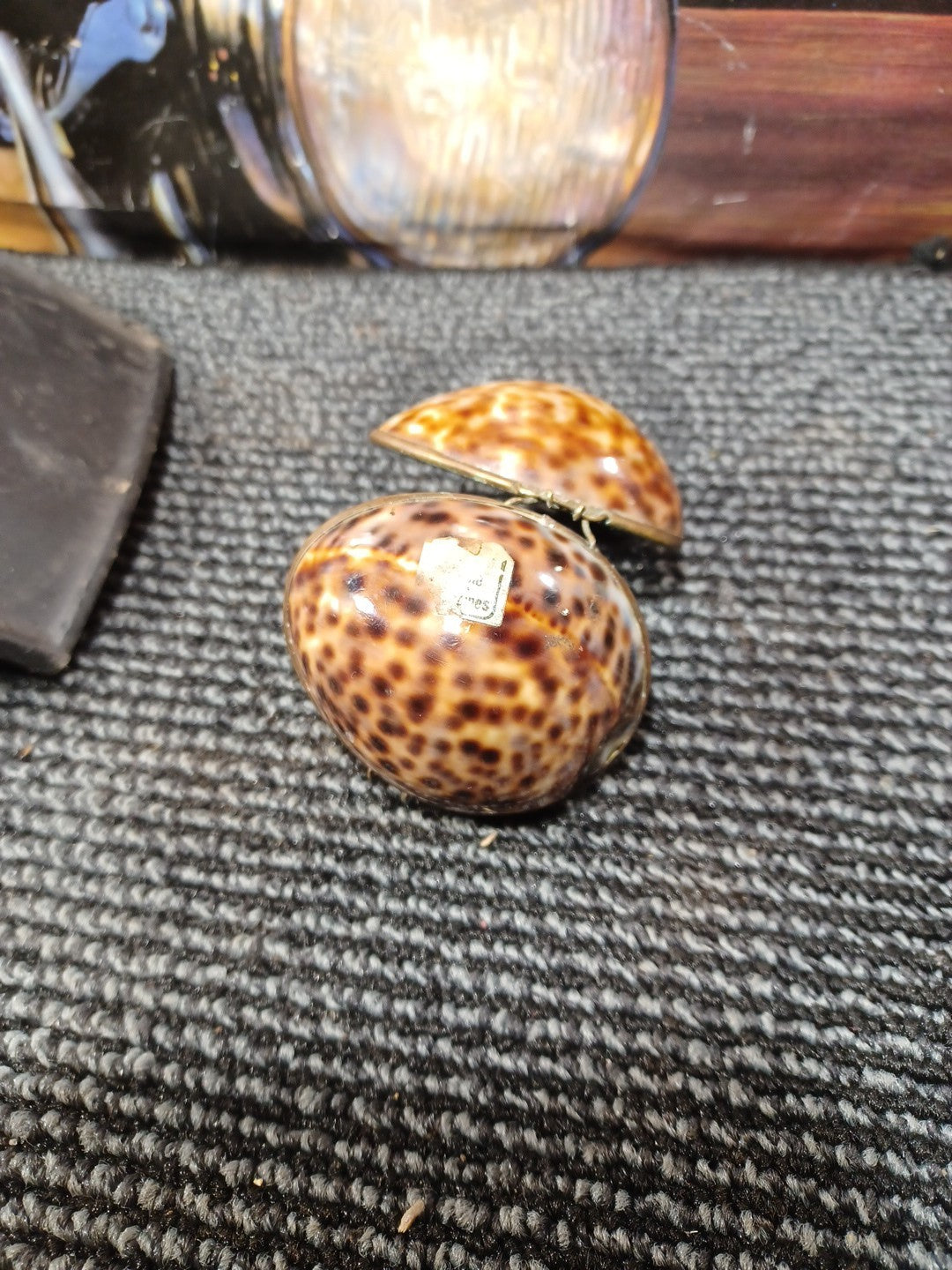 Cowrie Shell Trinket Box Brass Hinged Seashell Jewelry Egg 2.5"