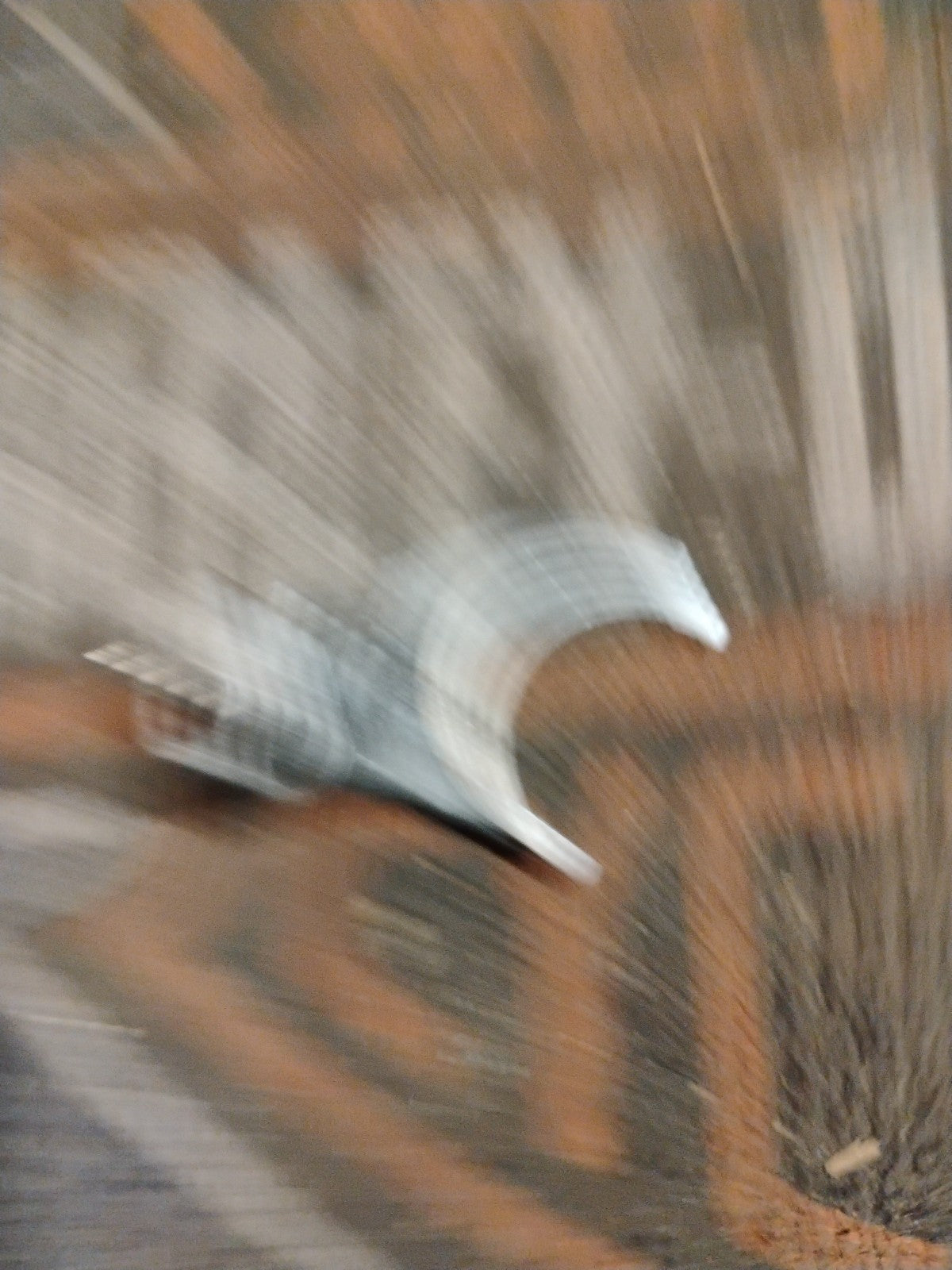 HARLEY DAVIDSON OEM 4TH SHIFTER FORK #34195-79E BT EARLY BIG DOG MOTORCYCLES