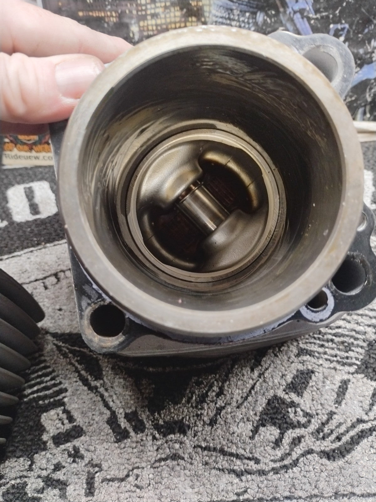 Harley-Davidson Sportster 883 Cylinder & Piston Set 1986-2003 OEM