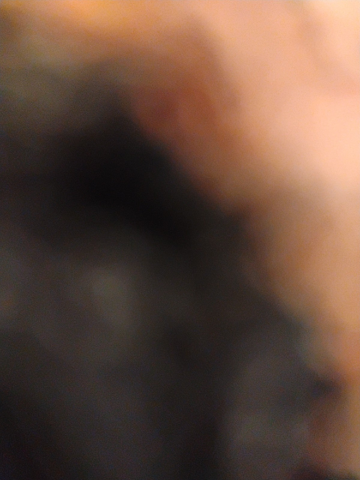 2001 Harley Owners Group HOG Rocker Patch