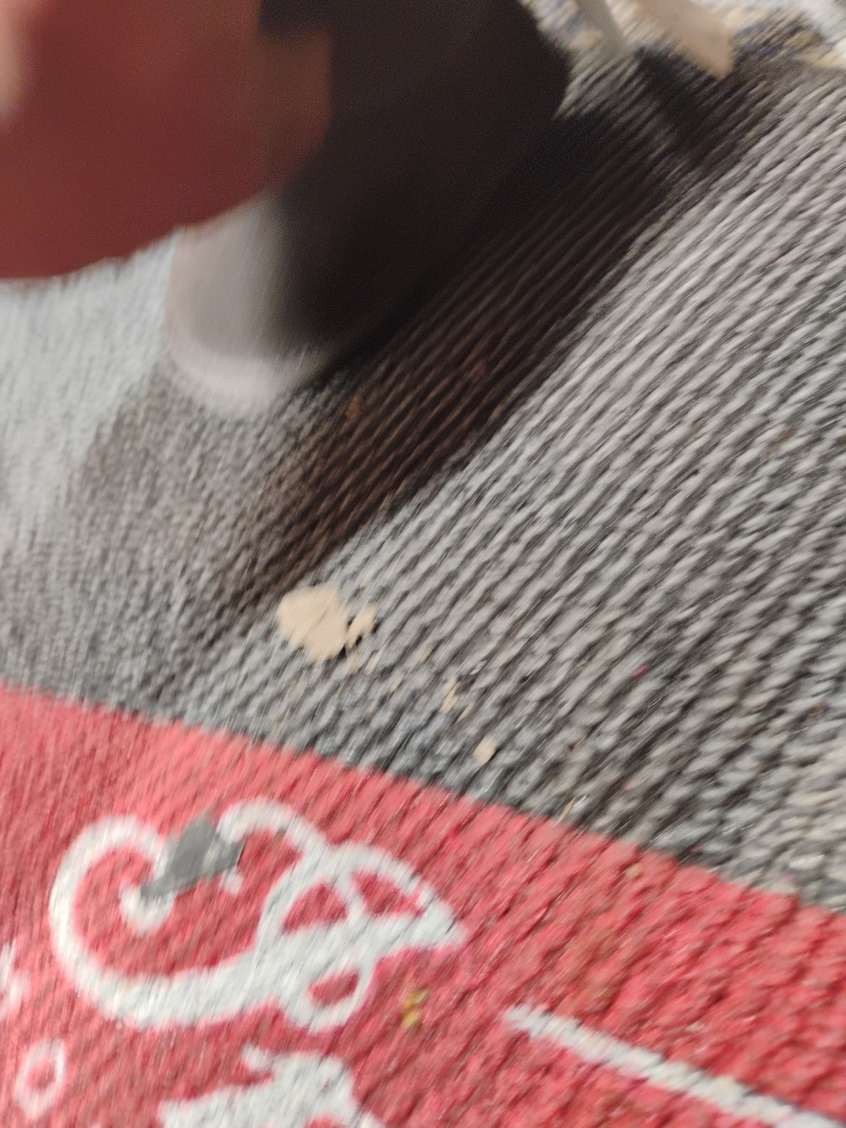 Bearpaw Babies Infants Boots Size Age 6-12 Mounts Brand New