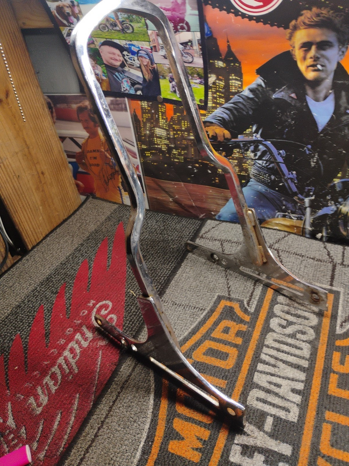 Tall Sissy Bar Harley Davidson XL1200C Sportster 1200 Custom 2004-2019