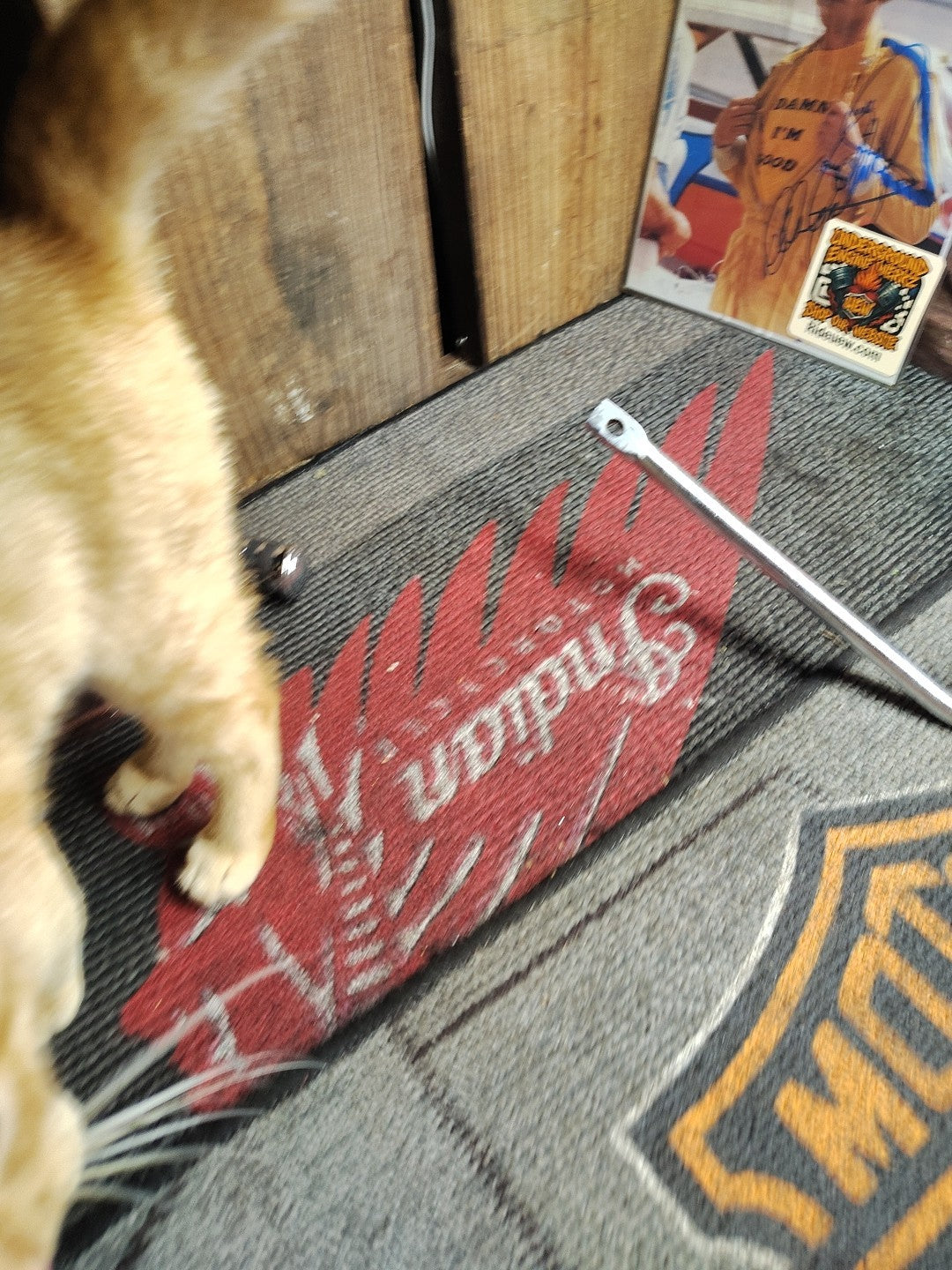 HARLEY DAVIDSON FL FLH CHROME EXHAUST BRACKET MOUNT DYNO POWER DRAG PIPES