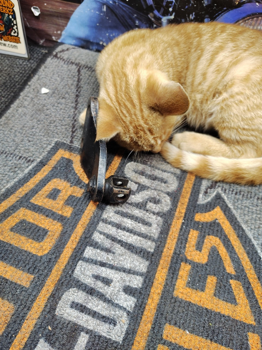 Harley OEM  1977-1984 FX SHOVELHEAD REAR PEG MOUNT   311D