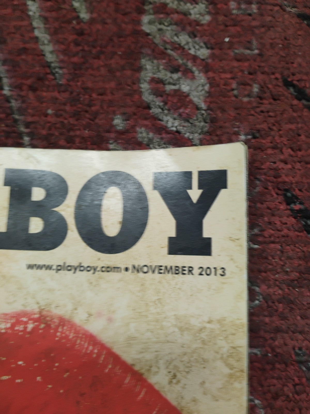 PLAYBOY November 2013 Sarah Domke Gemma Lee Farrell Iman Bernie Sanders 