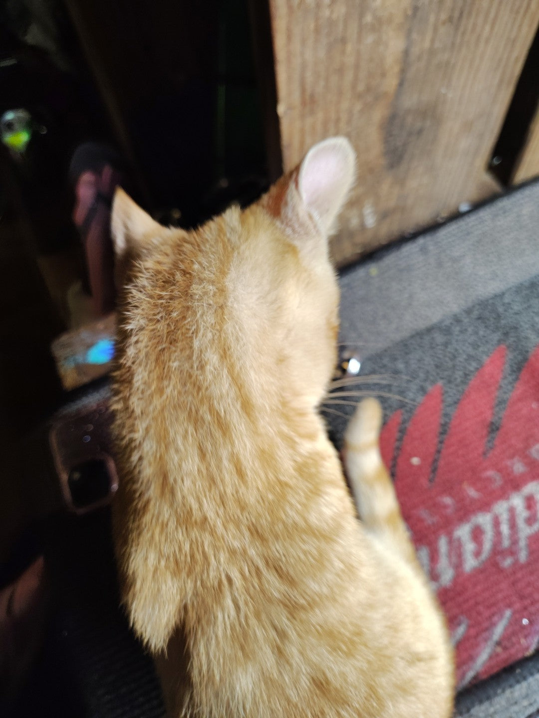 HARLEY DAVIDSON FL FLH CHROME EXHAUST BRACKET MOUNT DYNO POWER DRAG PIPES