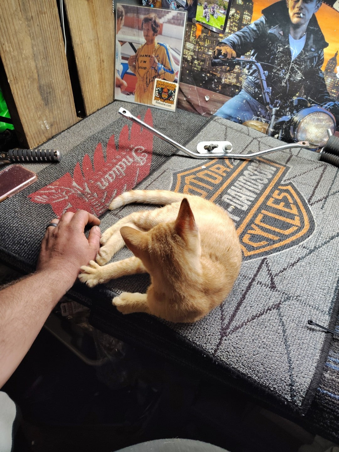 HARLEY DAVIDSON FL FLH CHROME EXHAUST BRACKET MOUNT DYNO POWER DRAG PIPES