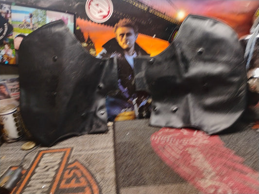 Unbranded Engine Guard Chaps 