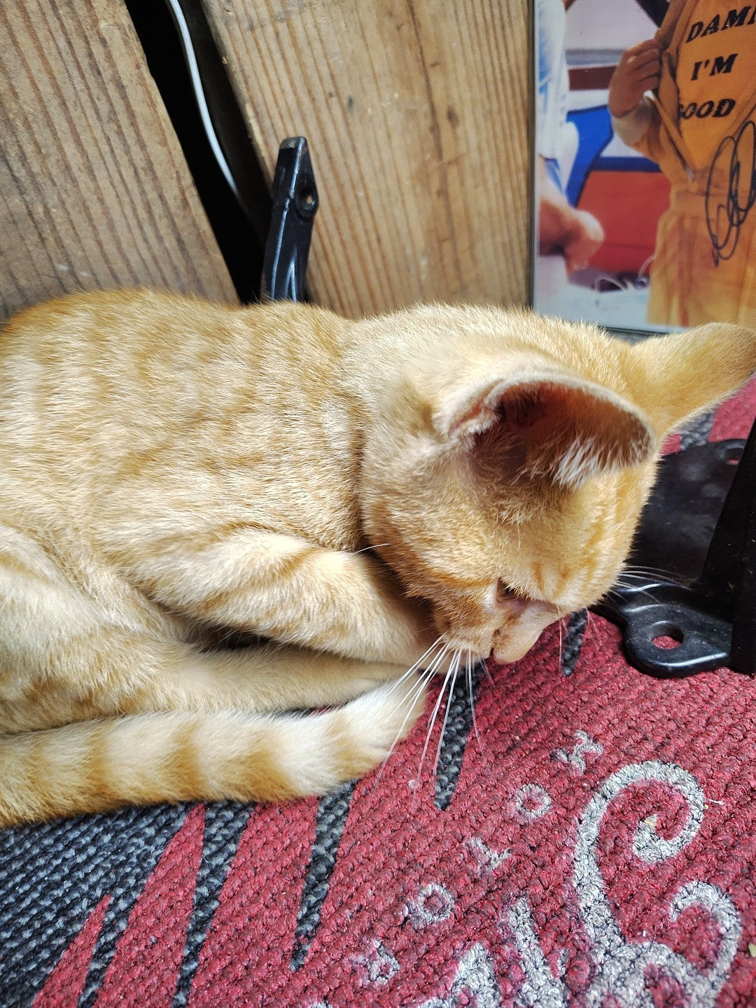 HARLEY DAVIDSON FXR OEM 50647-82 DRIVER FOOTPEG