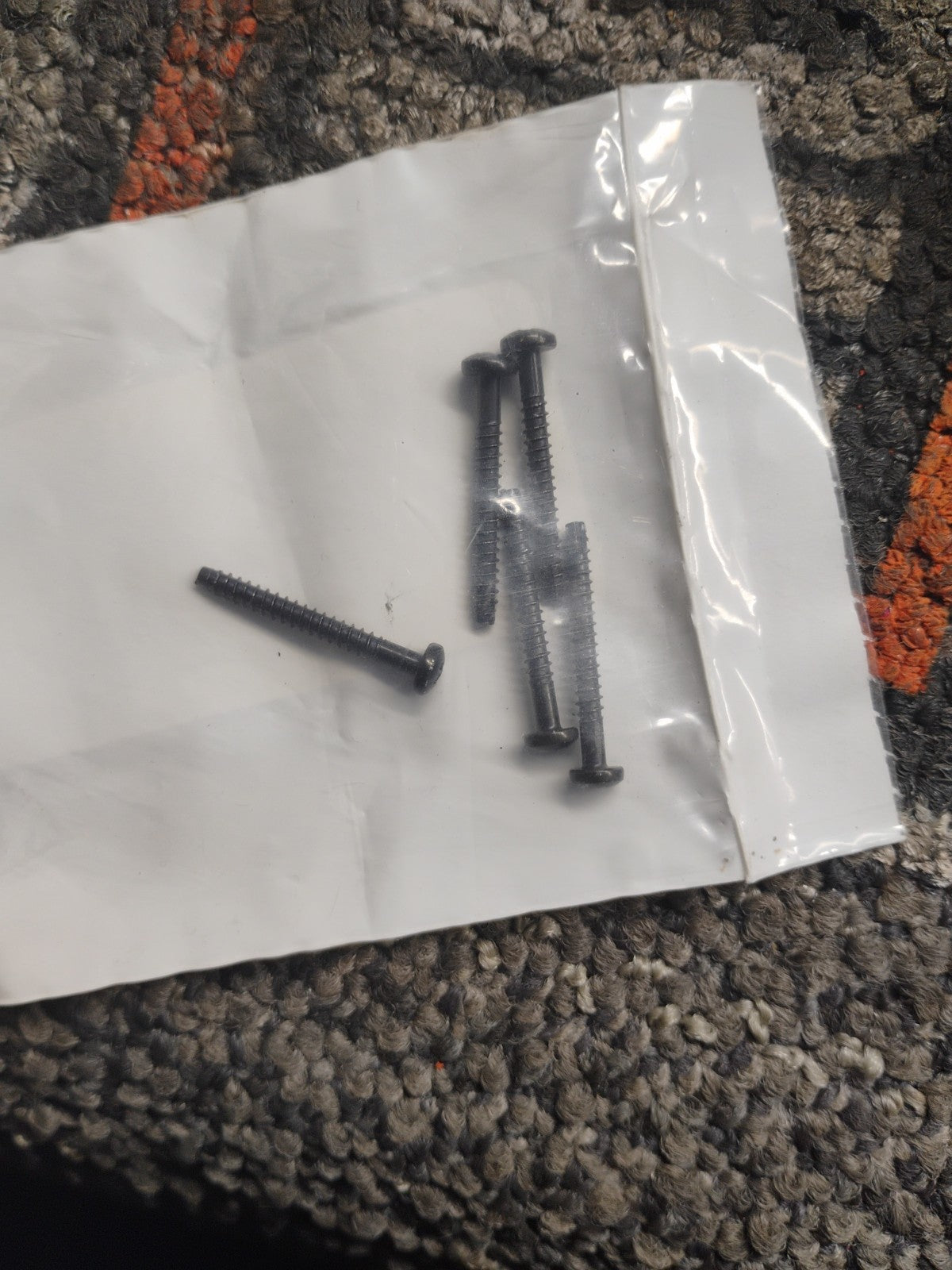 Buell OEM 68998-96Y Turn Signal Lens Screw S1 S3 NOS