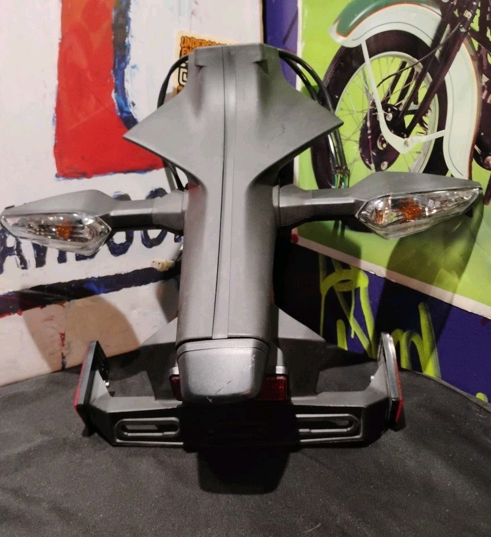 2020 Zx6r Tail Assembly