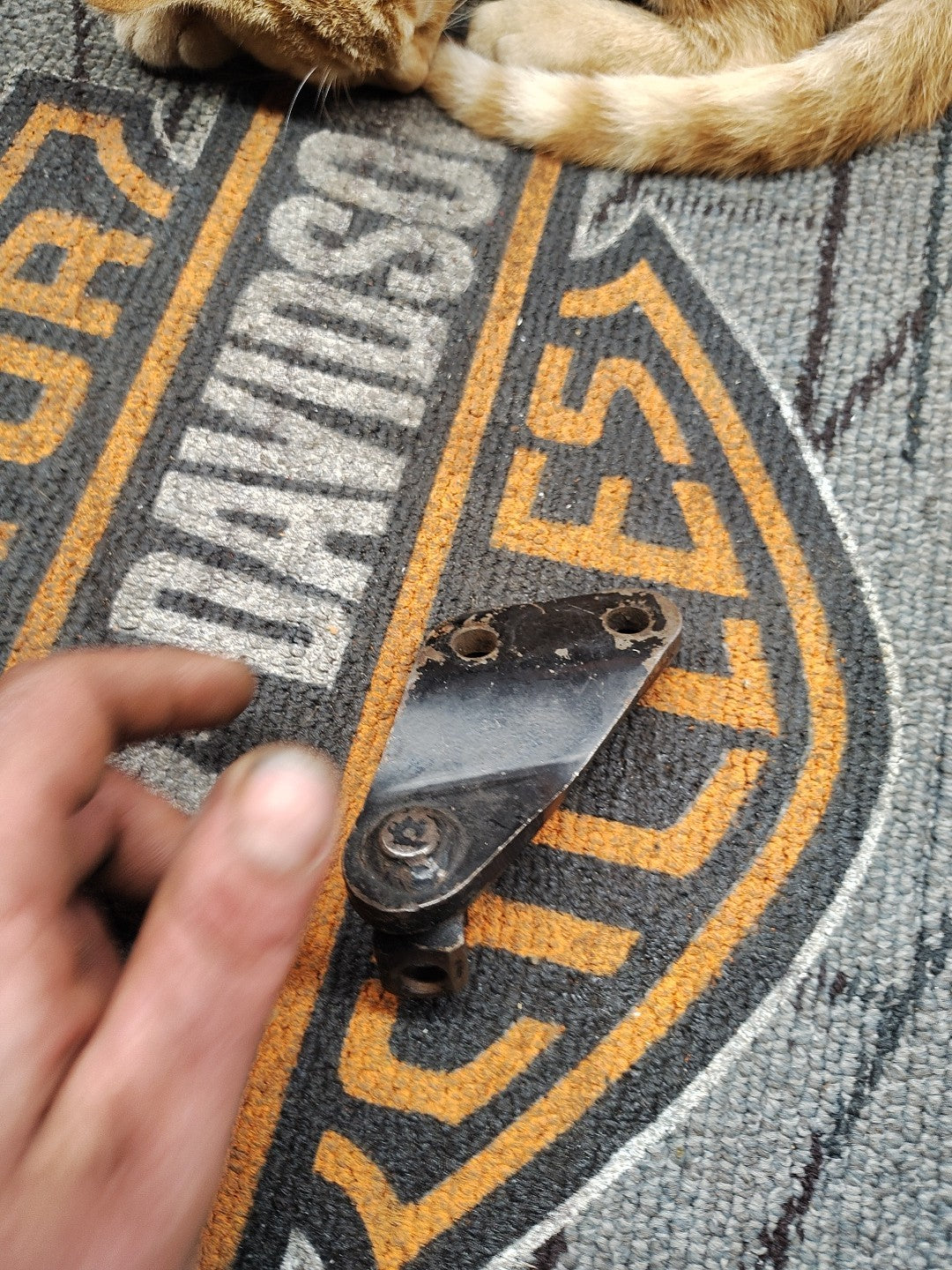 Harley OEM  1977-1984 FX SHOVELHEAD REAR PEG MOUNT   311D