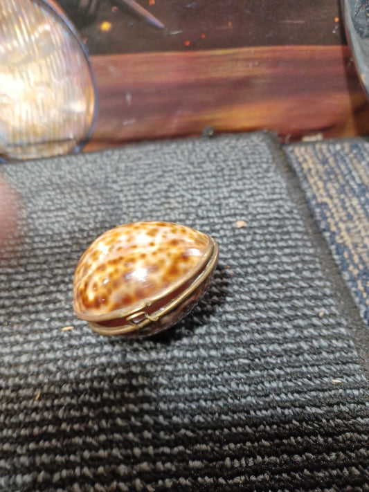 Cowrie Shell Trinket Box Brass Hinged Seashell Jewelry Egg 2.5"