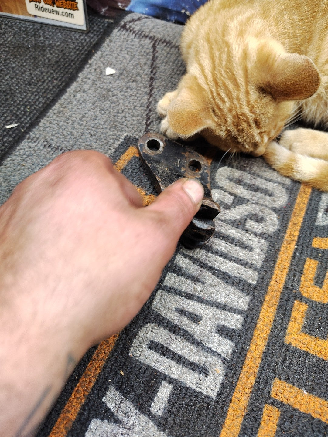 Harley OEM  1977-1984 FX SHOVELHEAD REAR PEG MOUNT   311D