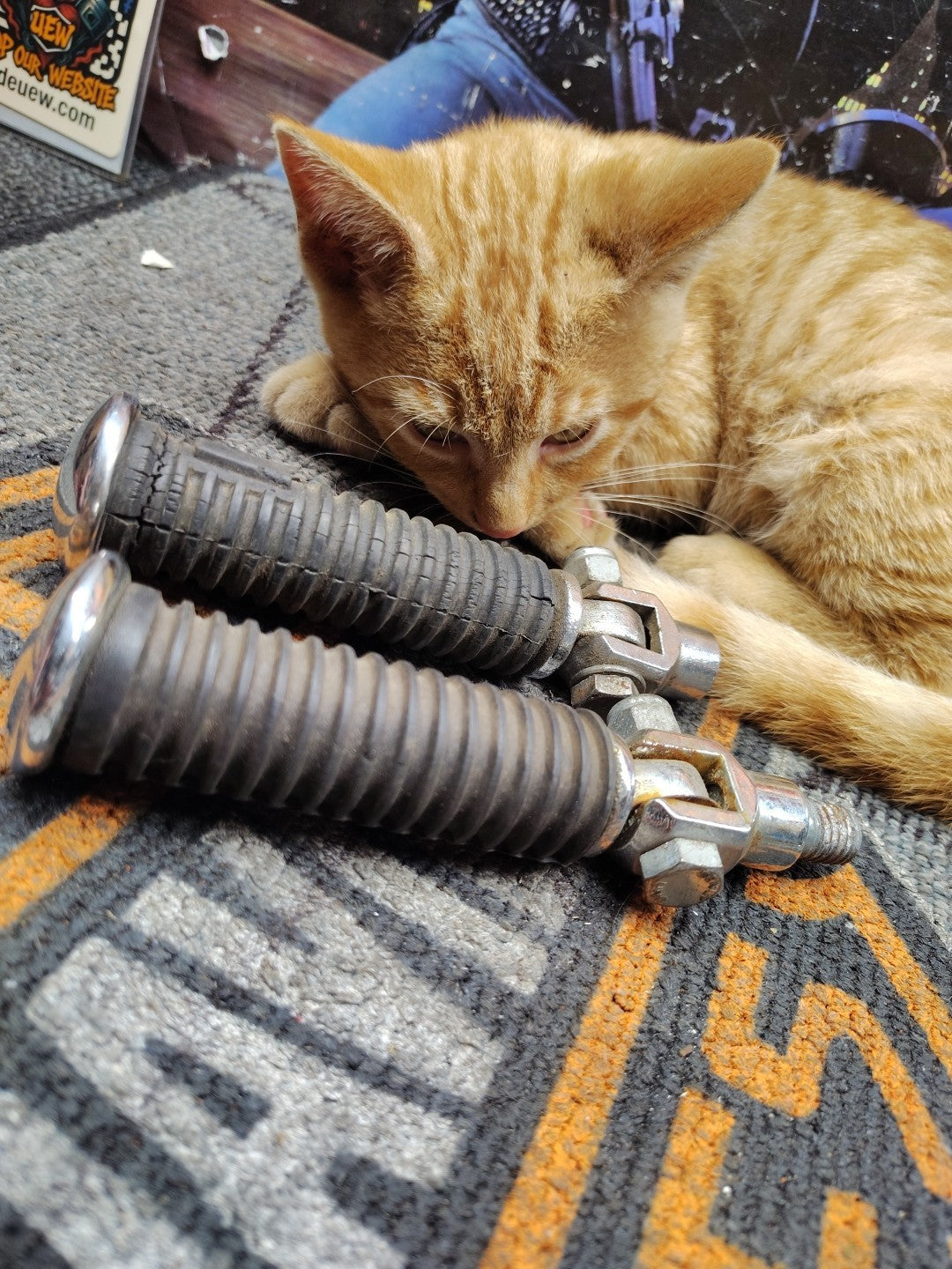 Chrome Tip Harley-Davidson Highway Foot Pegs Off 2001 Heritage Softail