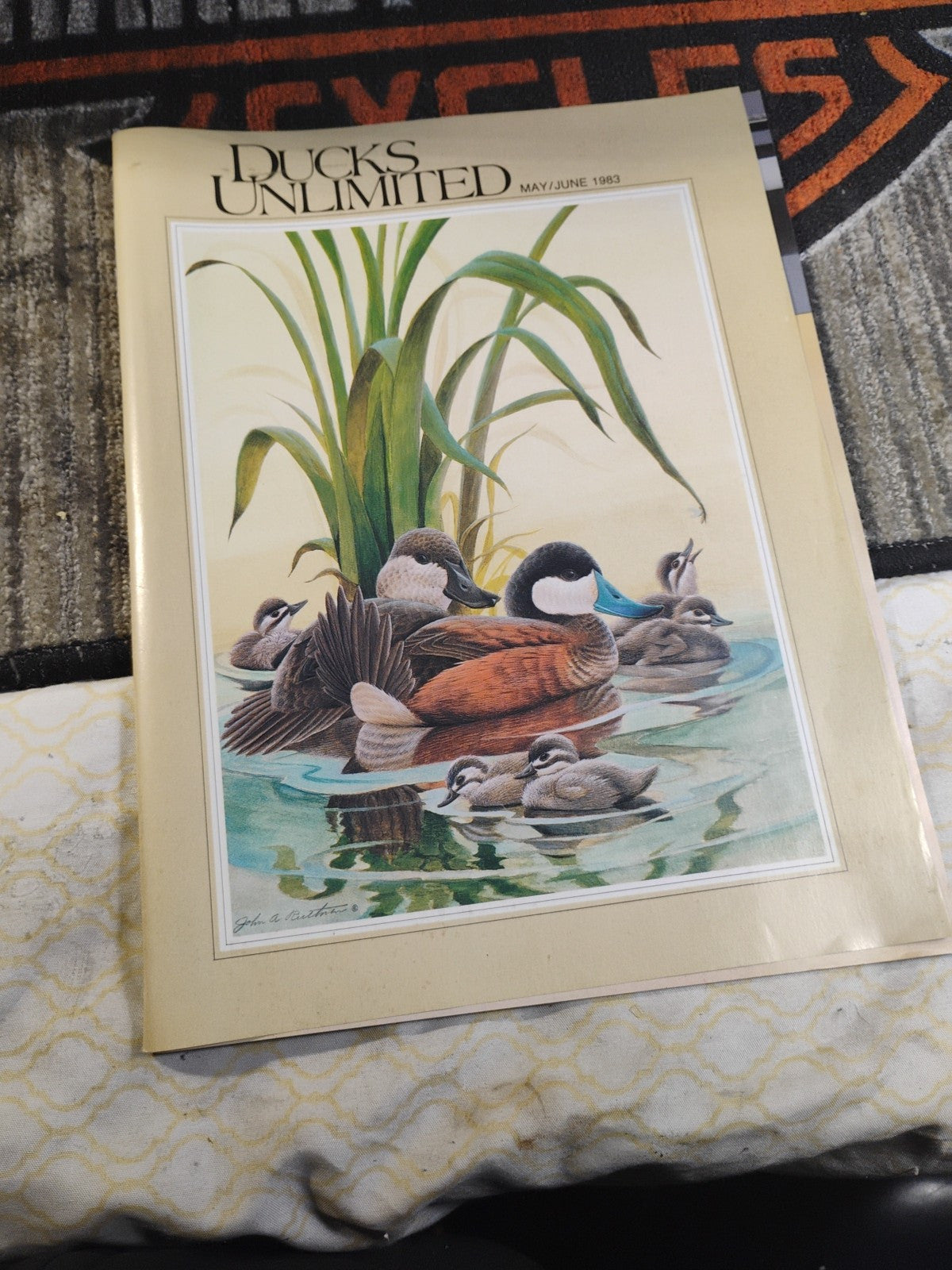 Ducks Unlimited Magazine May June 1983 Gunmakers Dilemma Wildlife Hunting