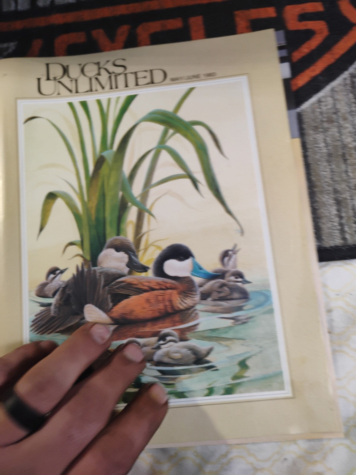 Ducks Unlimited Magazine May June 1983 Gunmakers Dilemma Wildlife Hunting