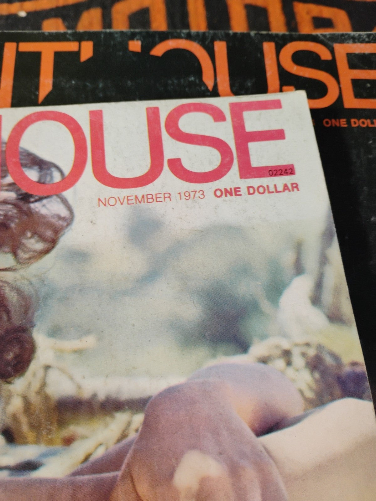 November 1973 Penthouse Magazine Love And Death J.G.Ballard Batman And Robin