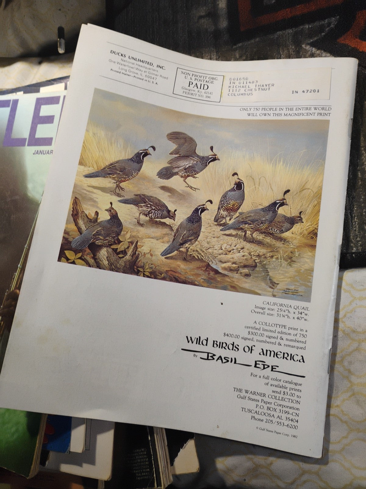 Ducks Unlimited Magazine May June 1983 Gunmakers Dilemma Wildlife Hunting