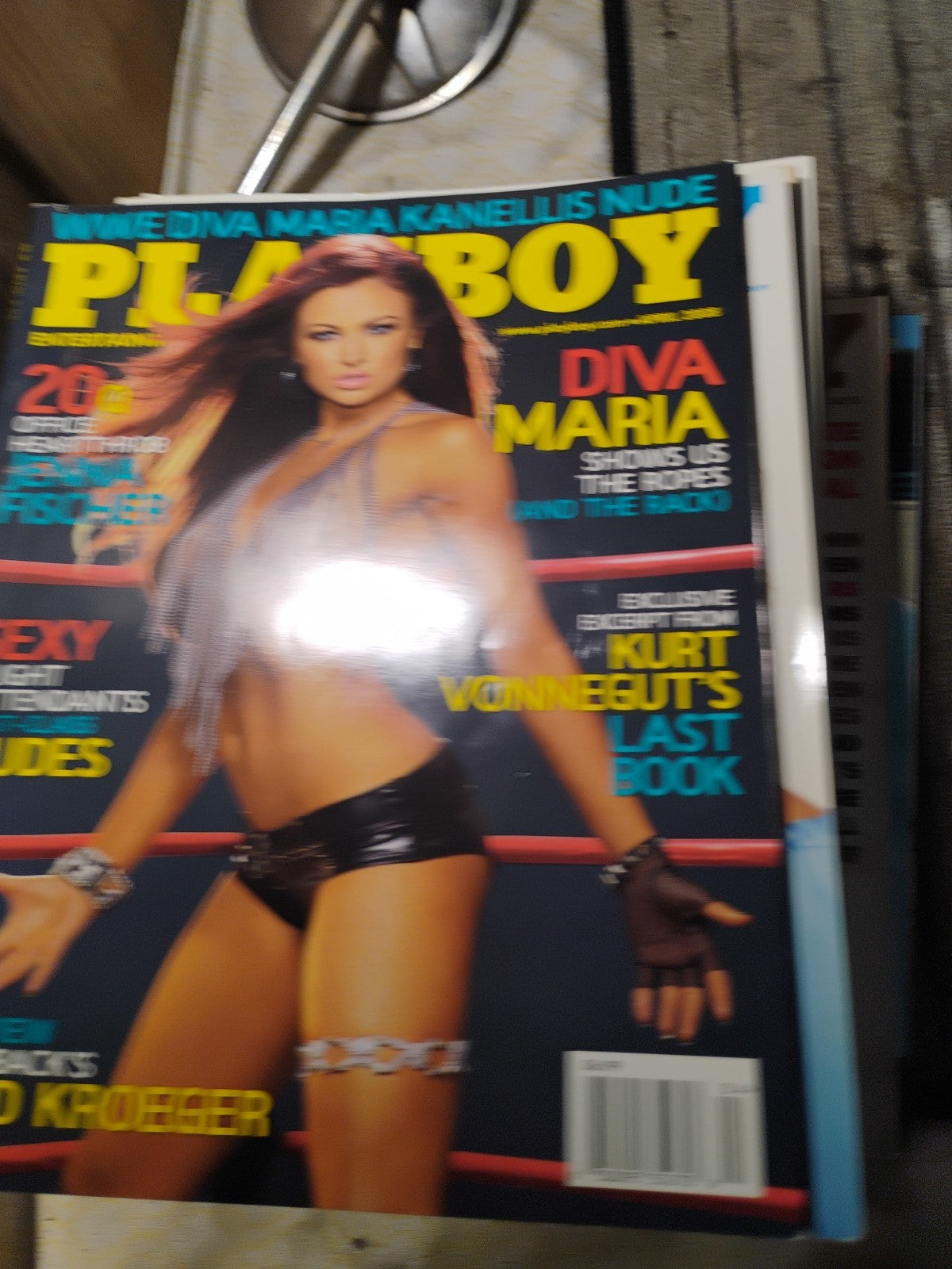 Playboy Magazine April 2008 - Diva Maria Cover, Exclusive Features, Seal Intervi