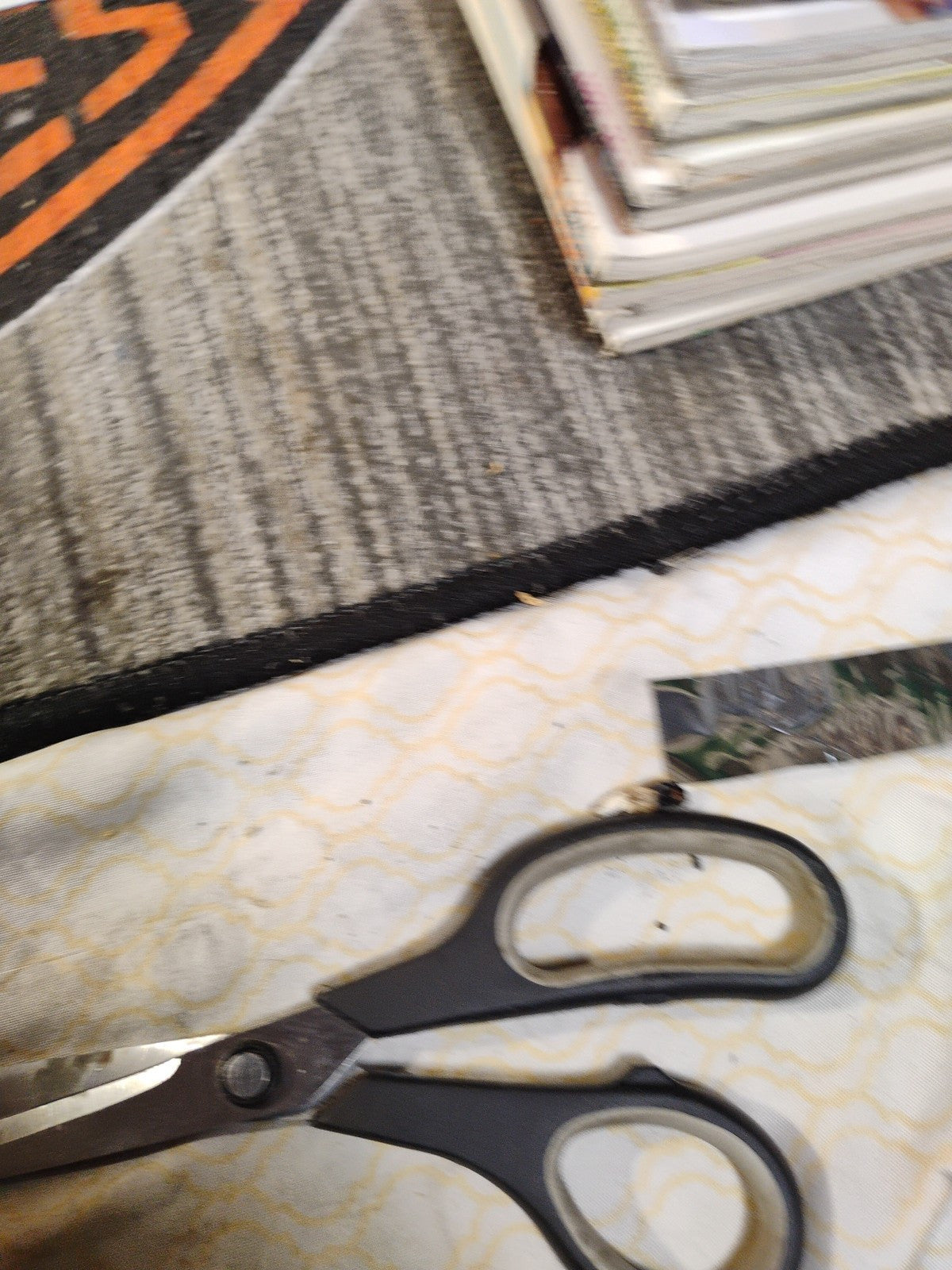 Playboy Magazine ~ June 2010 ~ Playmate of the Year Hope Dworaczyk ~ PMOY