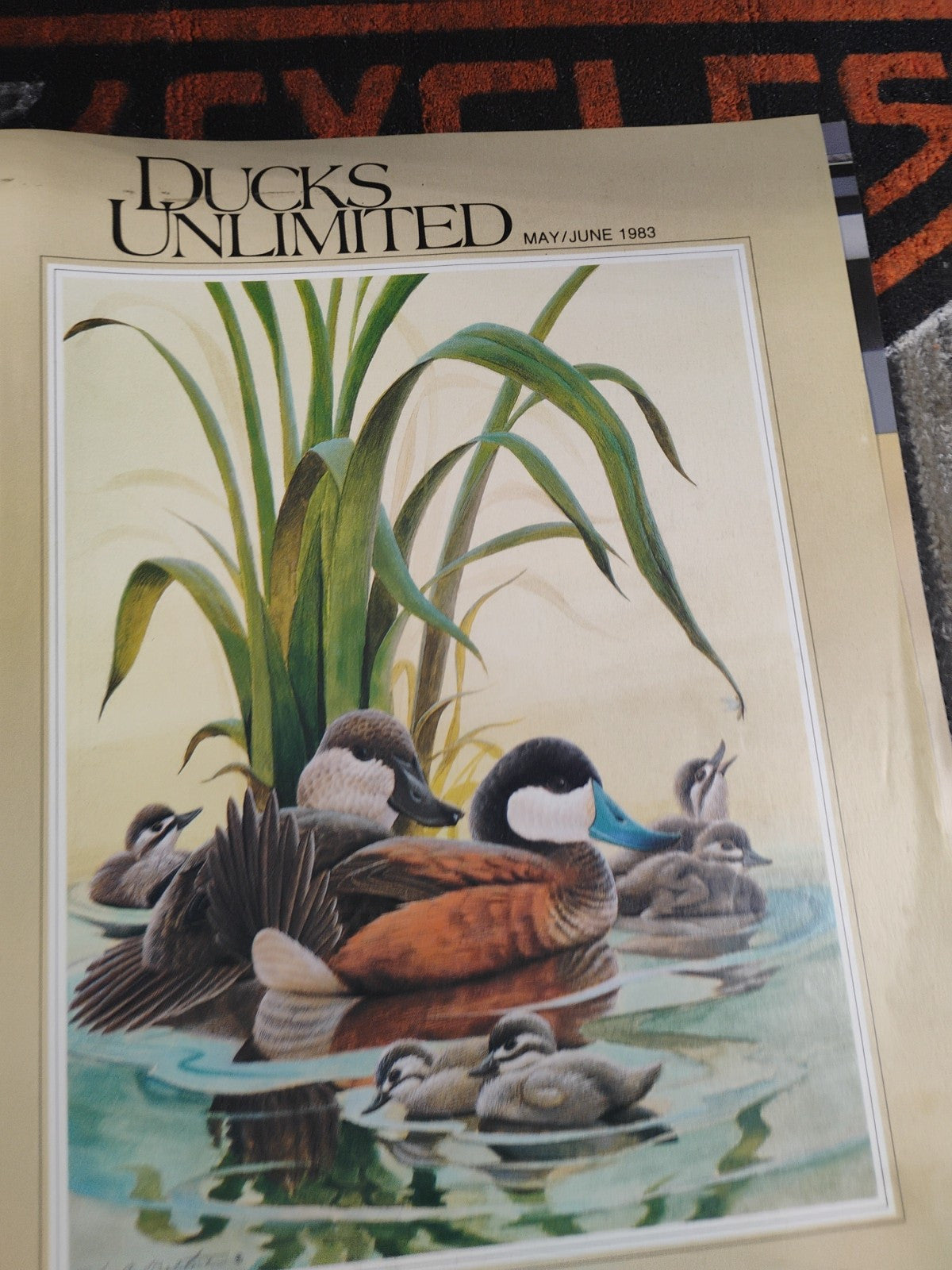 Ducks Unlimited Magazine May June 1983 Gunmakers Dilemma Wildlife Hunting