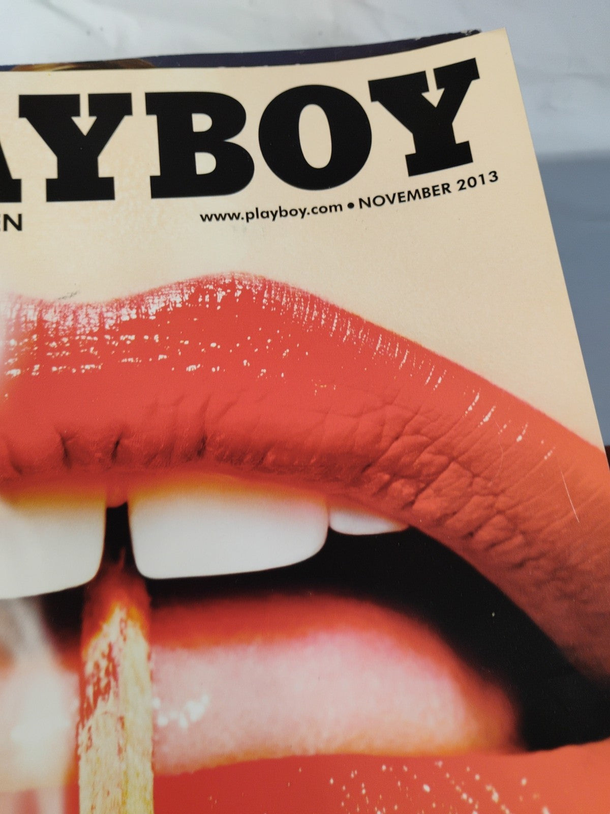 November 2013 Playboy Magazine - Sarah Domke, Gemma Lee Farrell, Bernie Sanders 