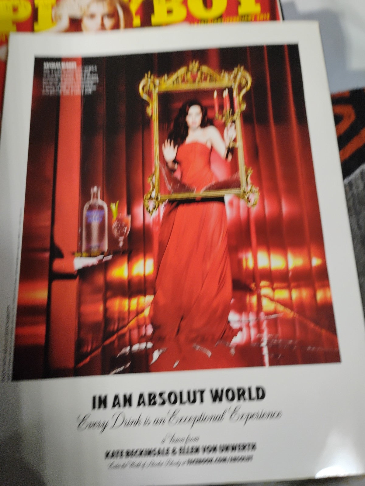 Playboy Magazine Issue #516 Jan - Feb 2010 - Tara Reid Cover