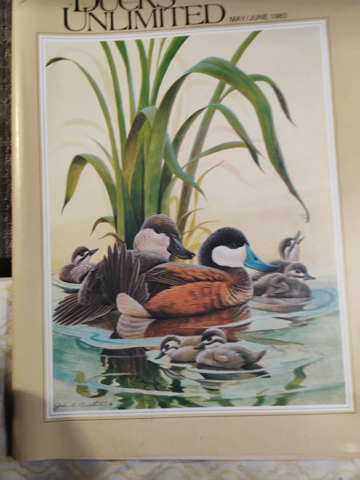 Ducks Unlimited Magazine May June 1983 Gunmakers Dilemma Wildlife Hunting