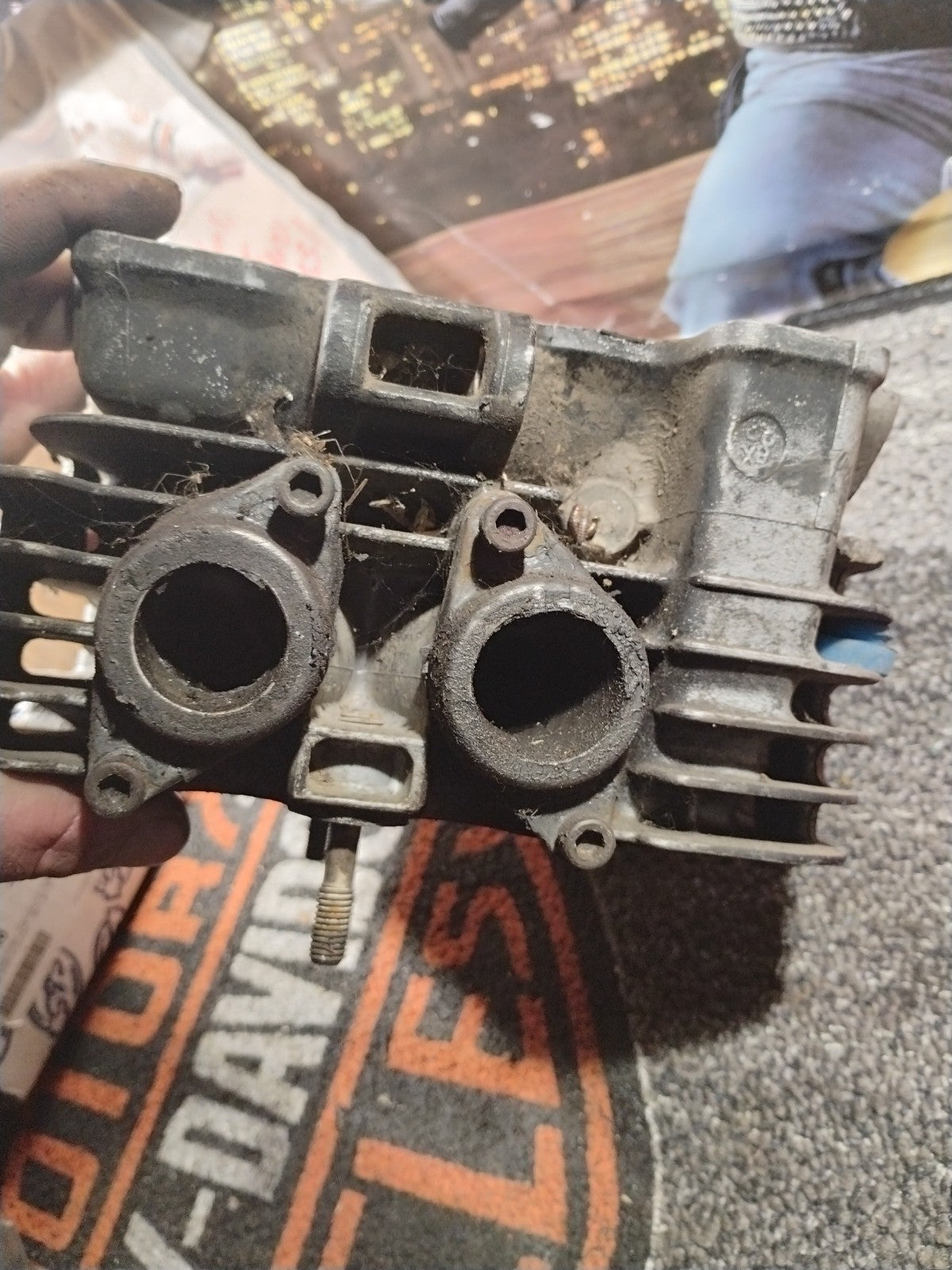OEM 1984 YAMAHA XT250L CYLINDER HEAD 